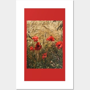 Not Wheat or Gluten Free, these Poppies Stand out from the Crowded Field Posters and Art